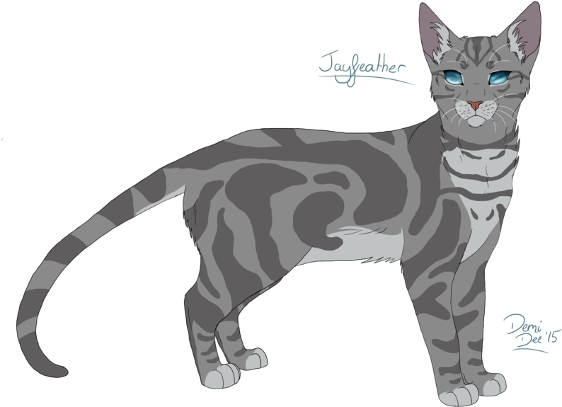 Warriors - Warrior Cats Drawings Jayfeather (1024x614), Png Download