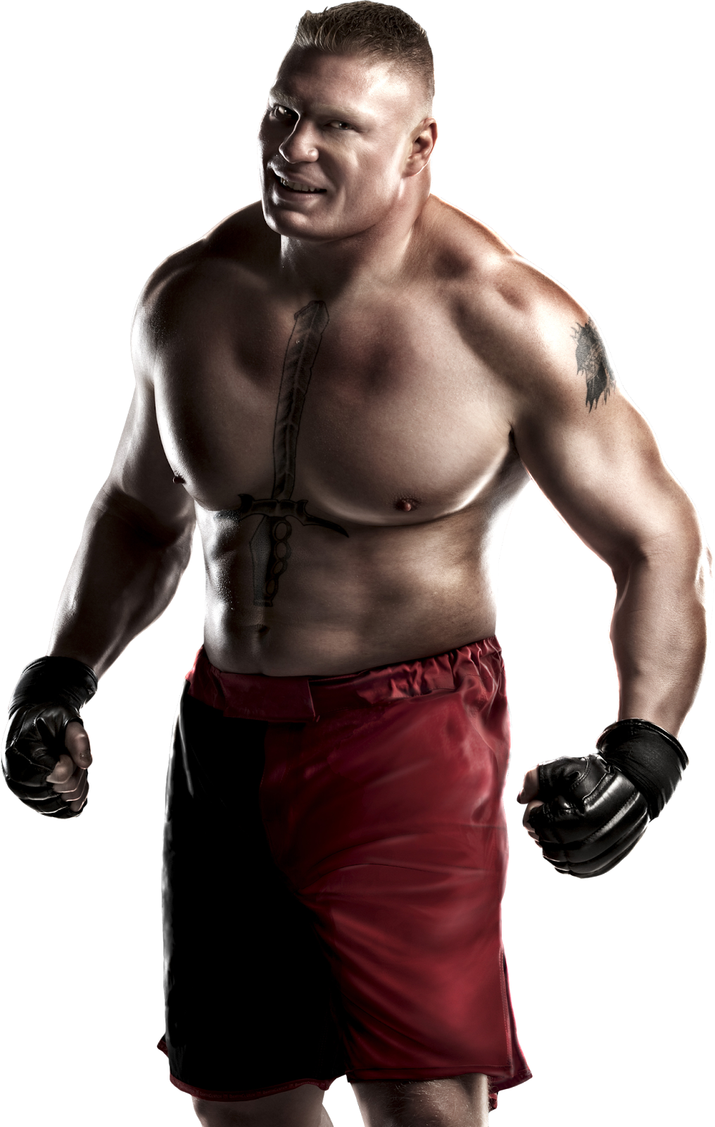 Brock Lesnar Png Hd - Brock Lesnar Wwe 13 (1016x1600), Png Download