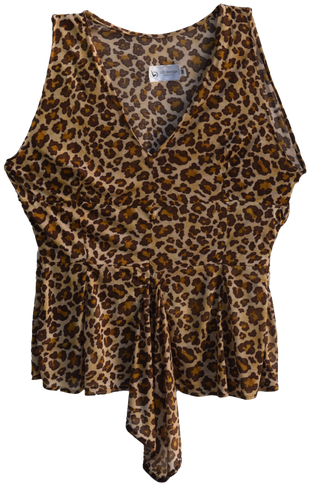 Leopard Jersey Printed Top - Blouse (498x498), Png Download