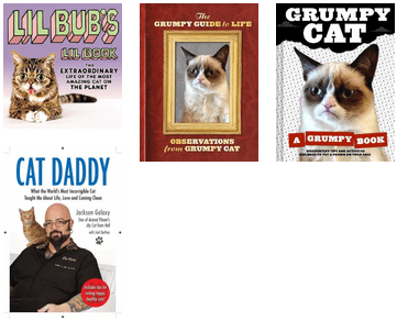 Cat Books I Want To Read - Cat Daddy By Jackson Galaxy (436x337), Png Download