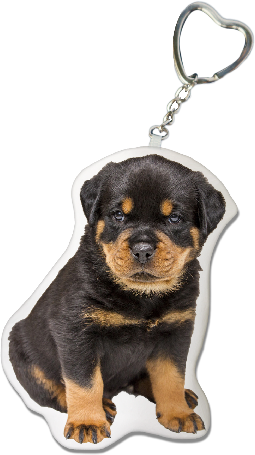 Nomes Para Cachorro Rottweiler (1240x1754), Png Download