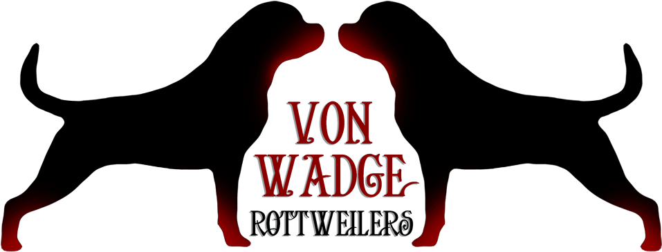 Logo Rottweiler (1000x423), Png Download