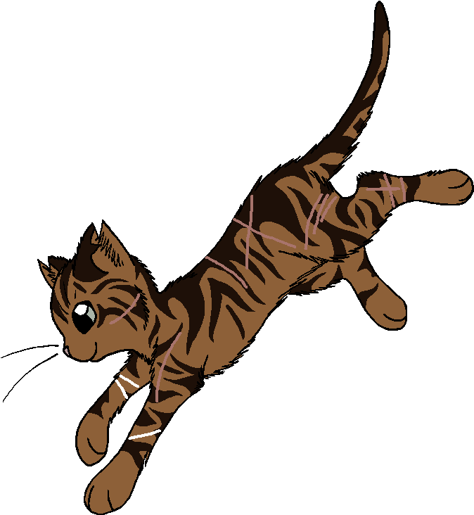 Slash - Warrior Cats Petal (729x781), Png Download
