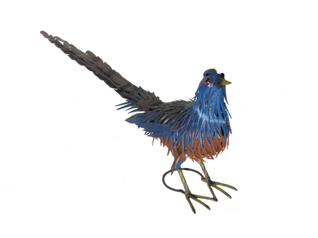 Coucal (640x480), Png Download