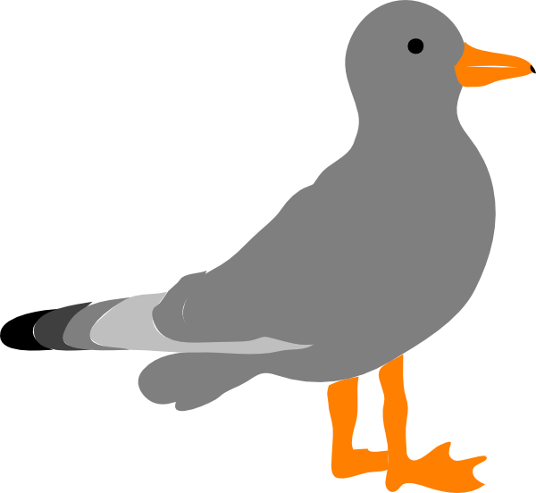 Cartoon Picture Of Seagull Clipart Clipartbarn - Seagull Clipart Translucent Background (600x552), Png Download