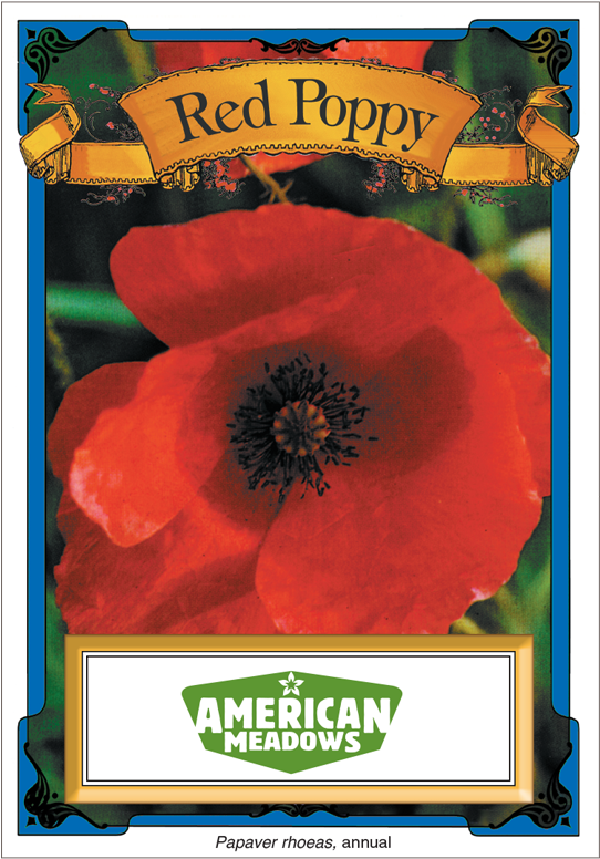 American Meadows (800x800), Png Download