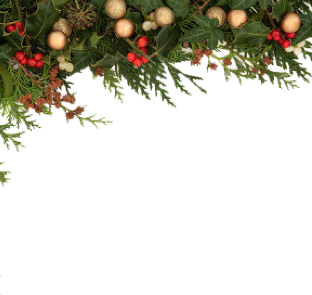 Christmas Border Png Christmas Border Png 71717012614 - Christmas Leaf Border Png (1024x1024), Png Download