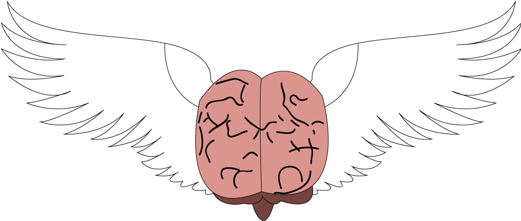 Brain With Wings / Cerebro Alado Your Brain, Finding - Freedom Of Thought (1024x768), Png Download