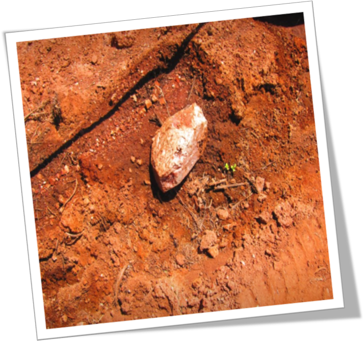 500 Million Year Old Cambrian Soil - Soil (724x716), Png Download