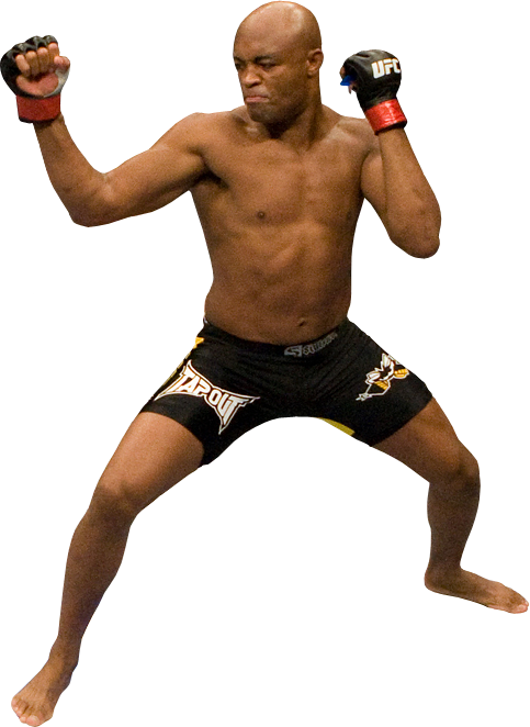 Wow - Anderson Silva Mma Png (483x662), Png Download