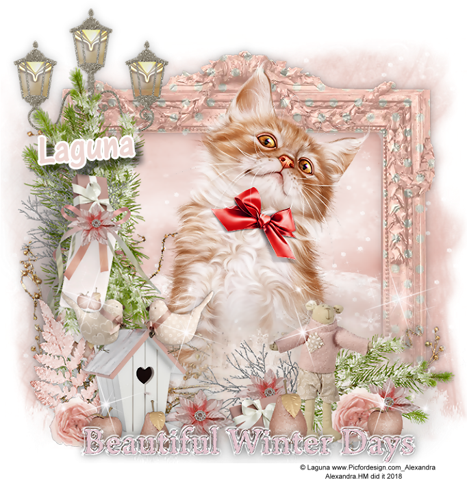 [๏̯͡๏]۶ ** ღ ❥ ⊱✿ ✿⊰ ღ ❥ ** [๏̯͡๏]۶ - Kitten (710x710), Png Download