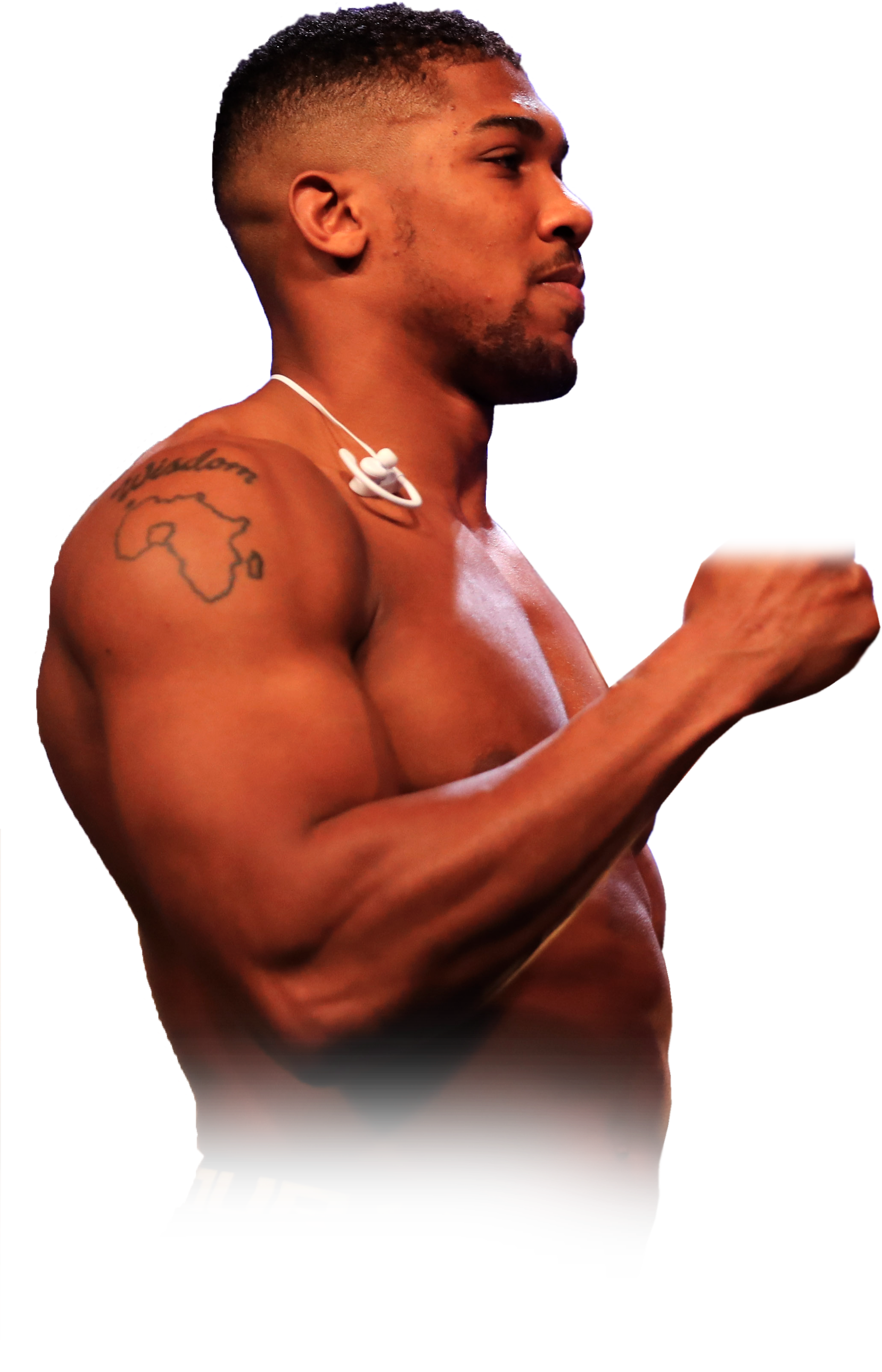 Last Fight (2065x3780), Png Download