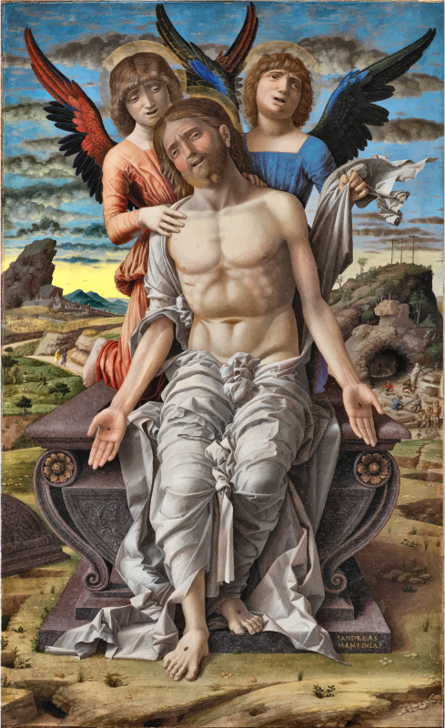 Medium Image (489x800), Png Download
