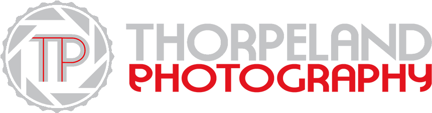 Graphic Design (1024x433), Png Download