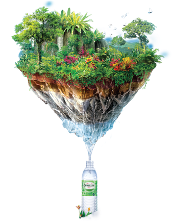 Nb041 - Palm Tree (1550x436), Png Download