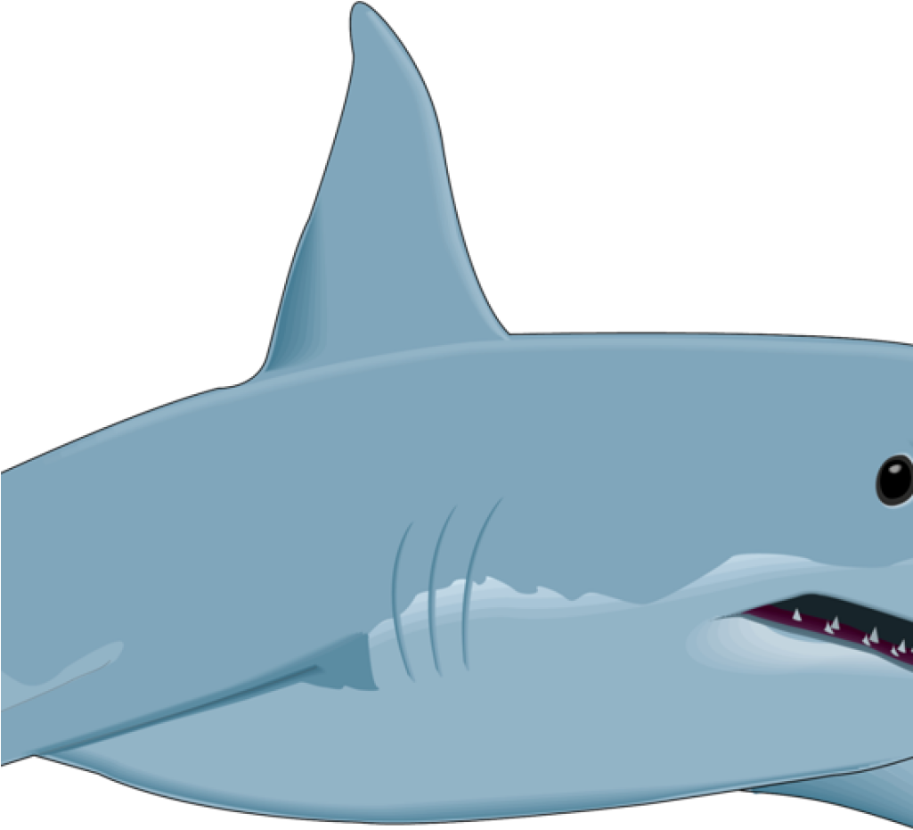 Free Shark Clipart Shark Clipart Shark Fish Clipart - Great White Shark Clip Art (1024x1024), Png Download