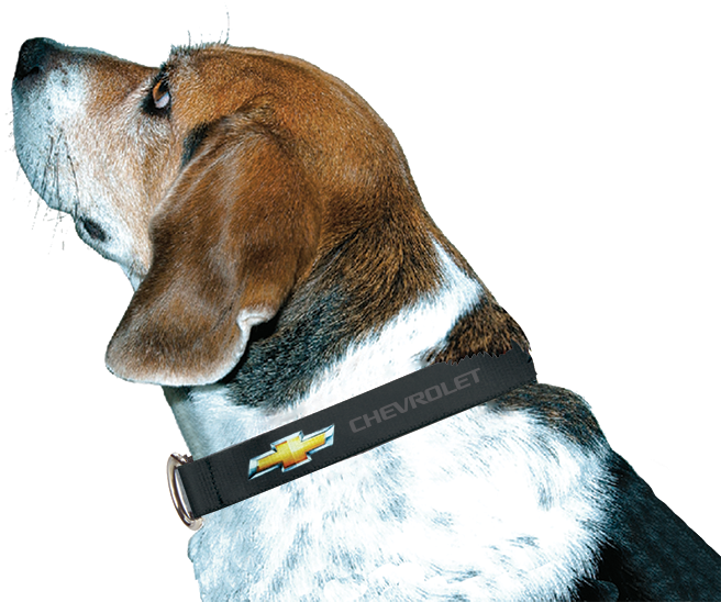 Chevy Bowtie Dog Collar - Chevy Dog (688x550), Png Download