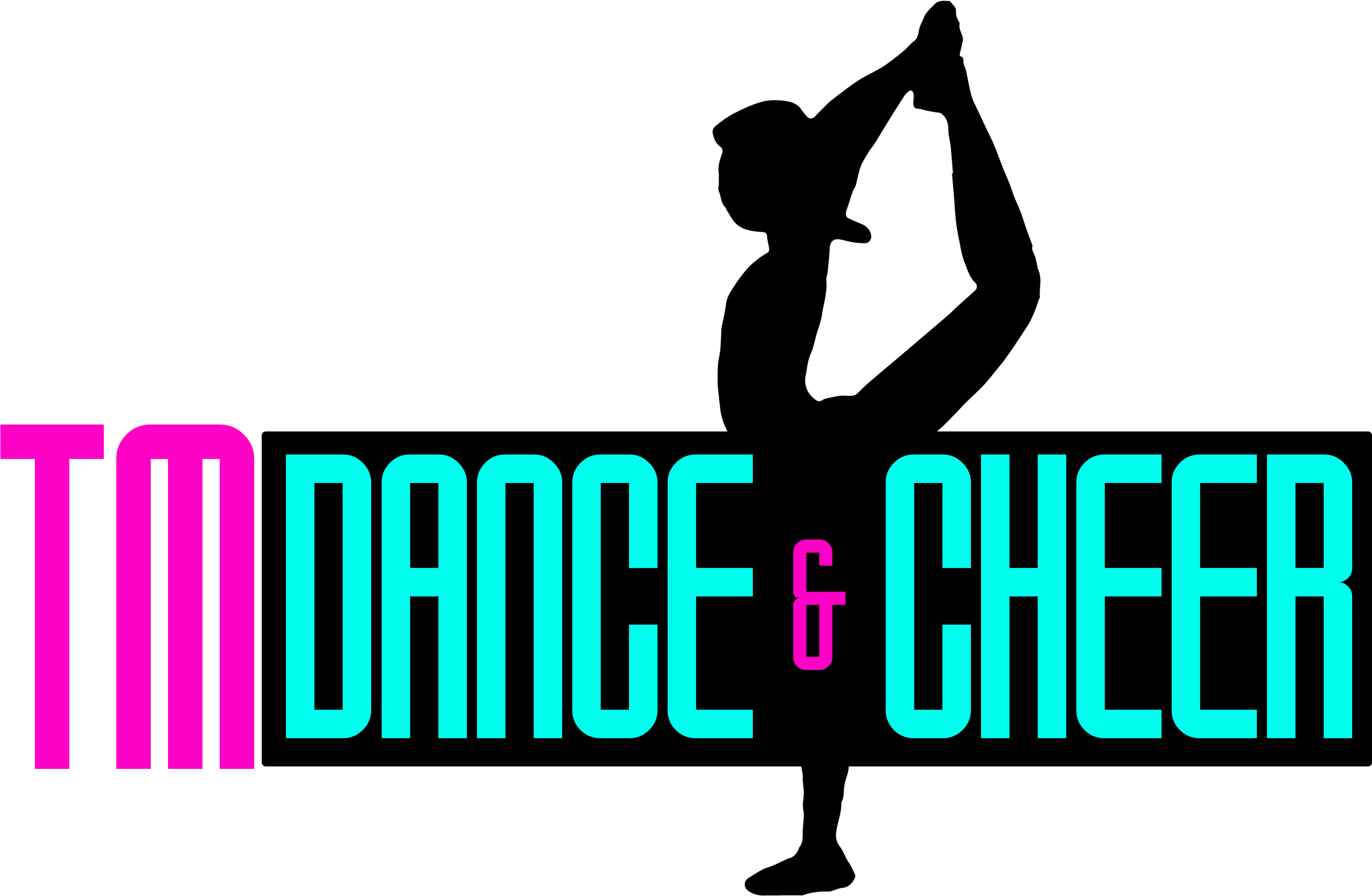 Tm Dance & Cheer Consulting - Tm Dance & Cheer (tmdc) (3600x2550), Png Download
