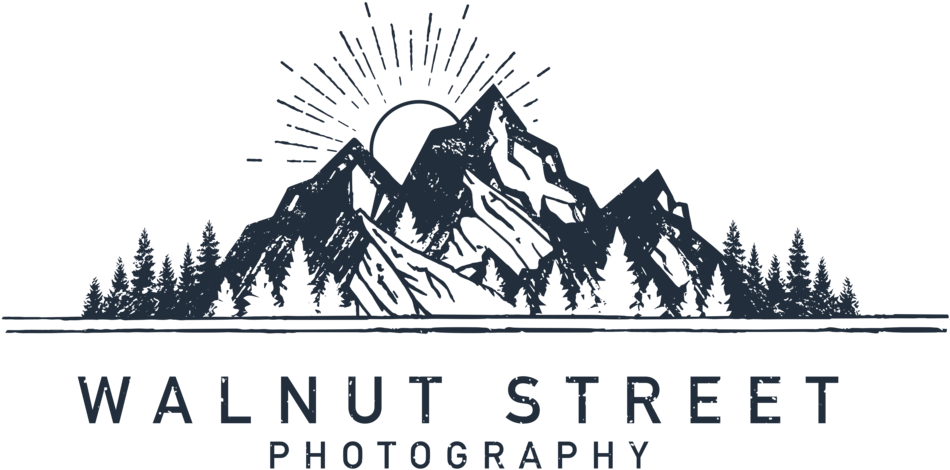 Photographer Silhouette Png (1000x692), Png Download
