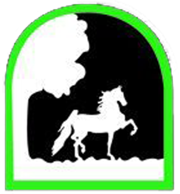 Horse Racing (587x616), Png Download