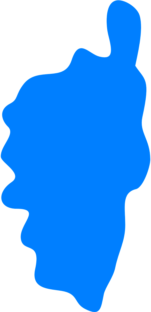 France, Corsica, Island, Silhouette, Blue - Corse Clipart (640x1280), Png Download