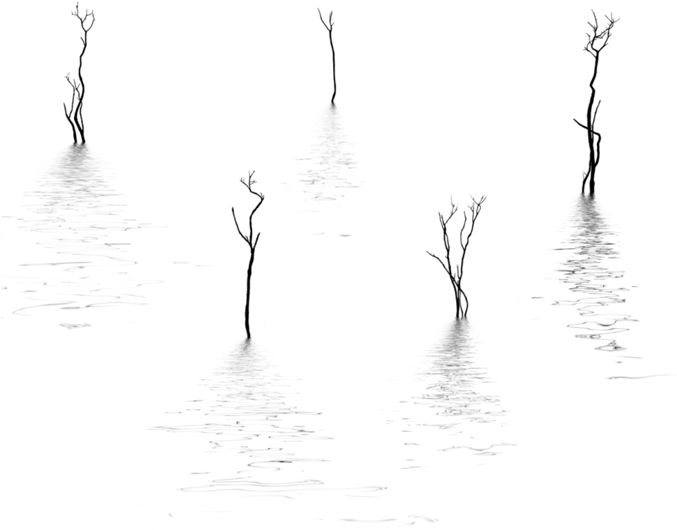 Clip Art Silhouettes With Hb By On - Skinny Dead Tree Silhouette (1008x792), Png Download