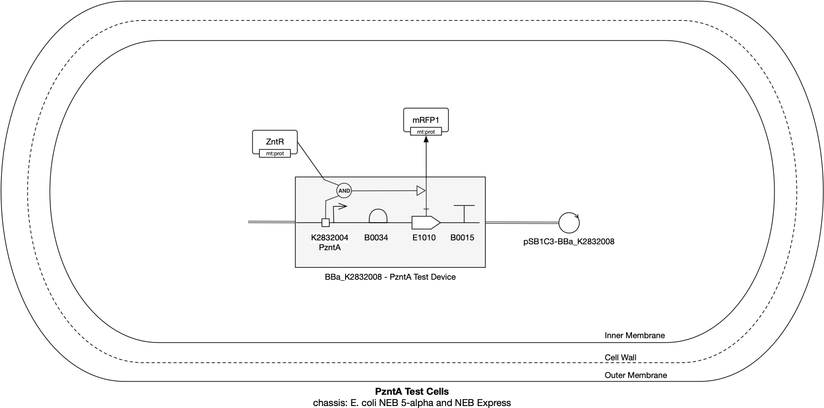 Rpoe System (1673x837), Png Download