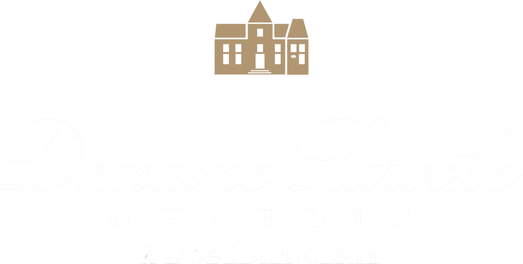 Logo - House (1024x517), Png Download