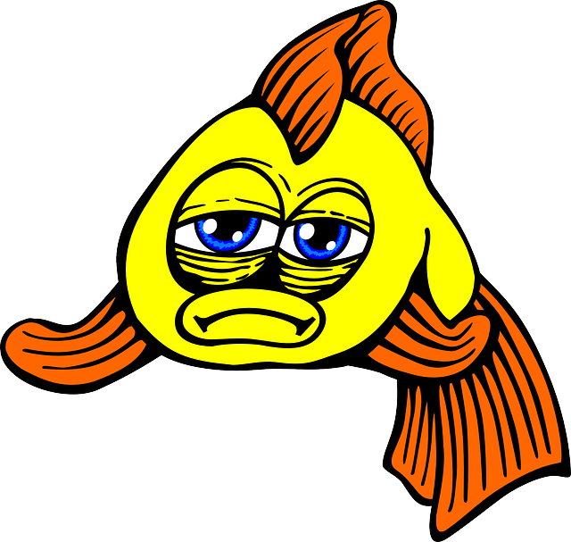 Fish, Sad, Goldfish, Yellow, Animal - Sad Fish Clipart (640x607), Png Download