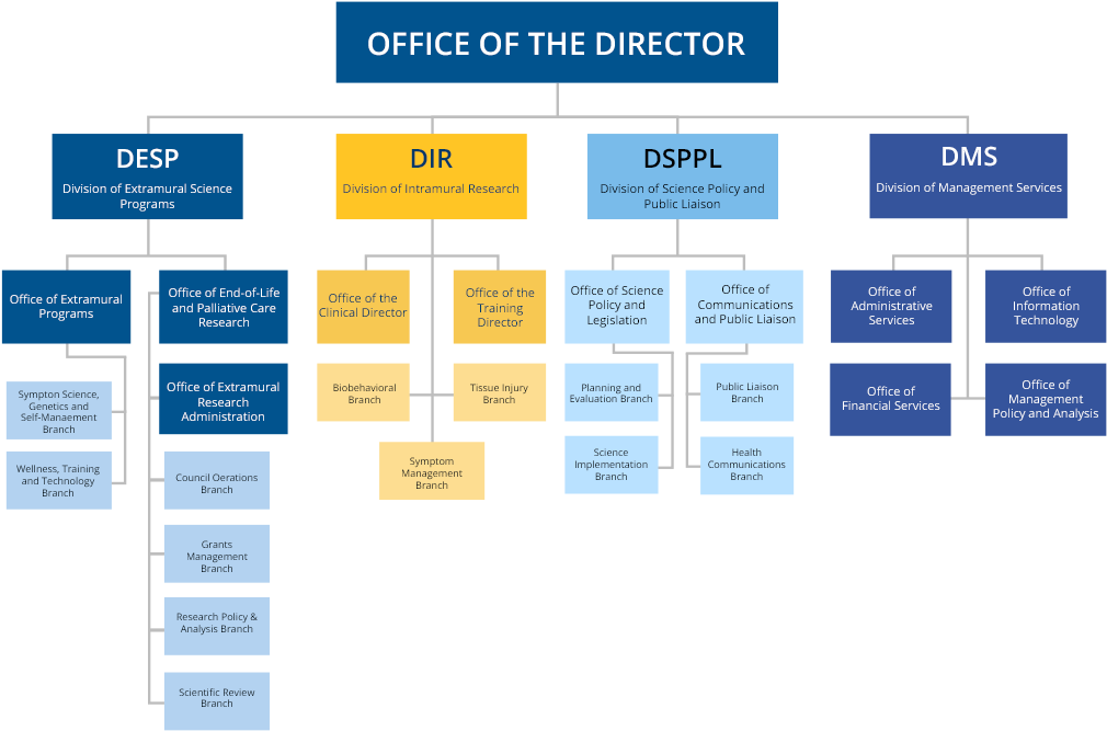Ninr Organizational Charts4 - National Institute Of Nursing Research (1013x674), Png Download