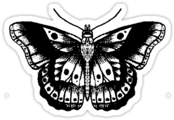 Harry Styles Butterfly Tattoo Png - Tatuaje Harry Styles Mariposa (375x360), Png Download