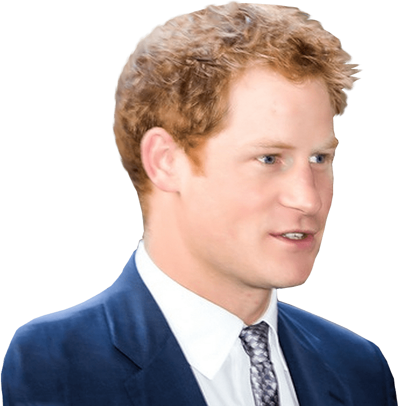Harry Styles Transparent Png - Prince Harry White Background (800x800), Png Download