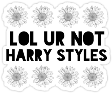 Ur Not Harry Styles Flowers By Ohmermaids - Daisy Flower Drawing (375x360), Png Download