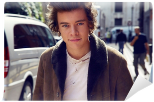 Official One Direction Harry Styles Photo Hard Back (400x400), Png Download