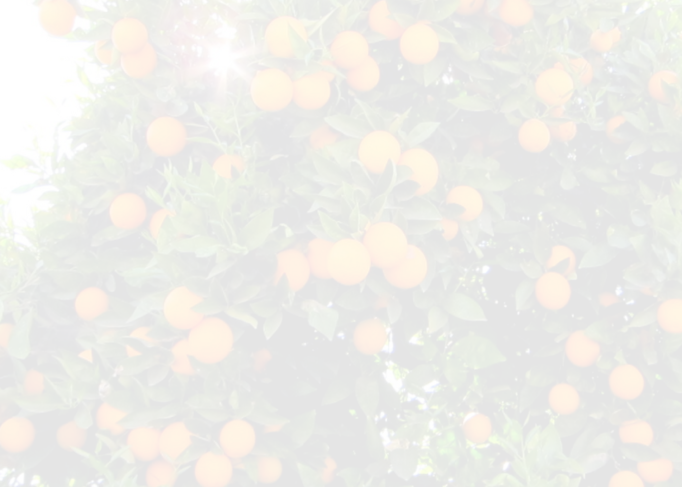 Jabuticaba (1400x999), Png Download