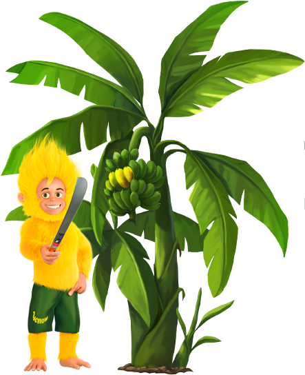 Yellow Banana Plantations (443x544), Png Download