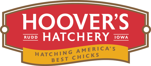 Baby Chick Care Hoover's Hatchery - Hoover Hatchery Logo (600x264), Png Download