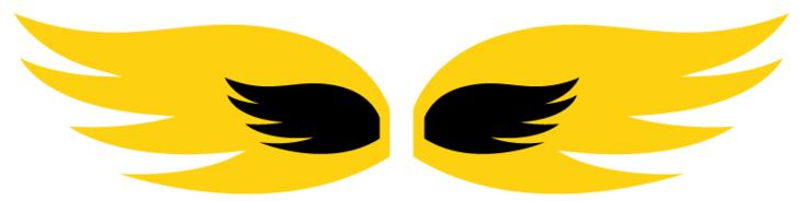 We Are Not Just A Co-ed Sports League - Bird Of Prey (1000x800), Png Download