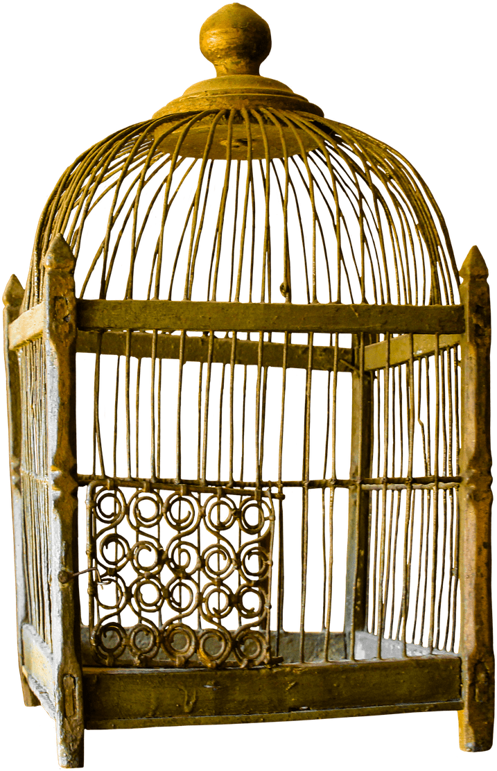 Bird Cage Png - Vintage Cage Png (1165x1280), Png Download