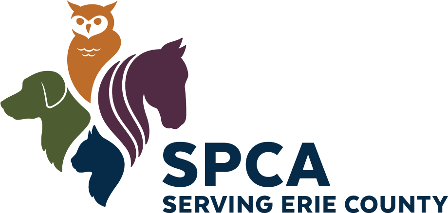 Spca Petique - Spca Logo Erie County (1021x626), Png Download