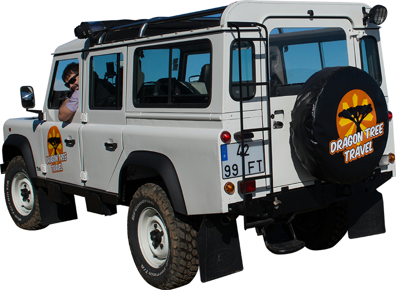 Jeep Safari - 4 4 Jeep Png (800x585), Png Download
