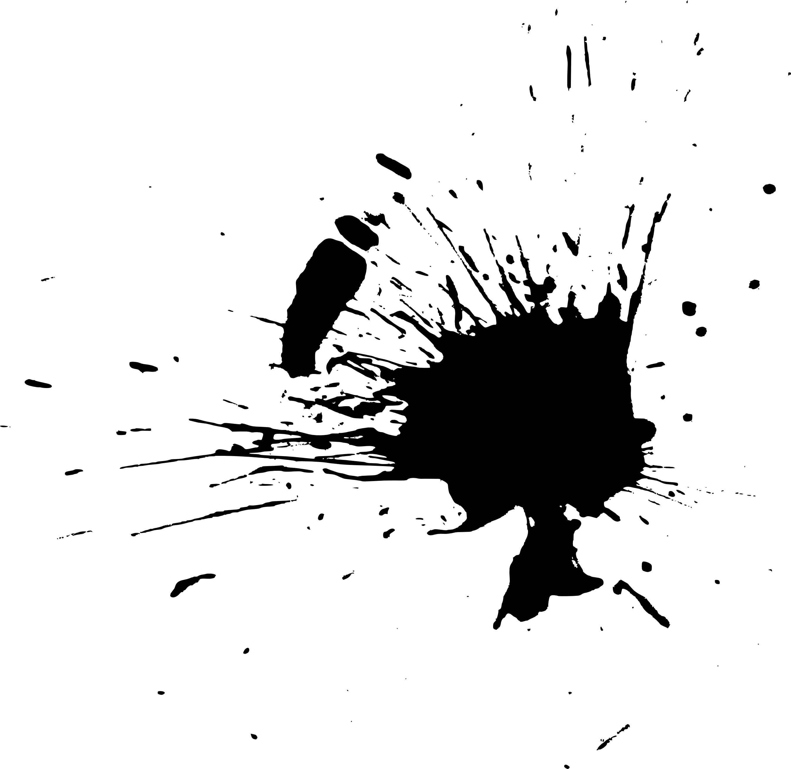 Black Paint Splash Png Download - Black Colour Paint Transparent (2695x2620), Png Download