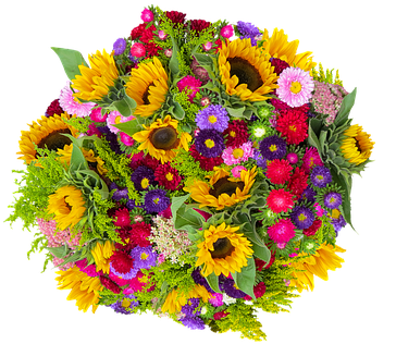 Emotions, Flower, Plant, Bouquet - Birthday Flower (446x340), Png Download