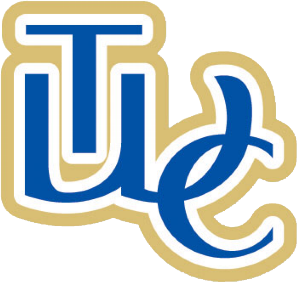 File - Twcbulldogs - Tennessee Wesleyan College (1024x975), Png Download
