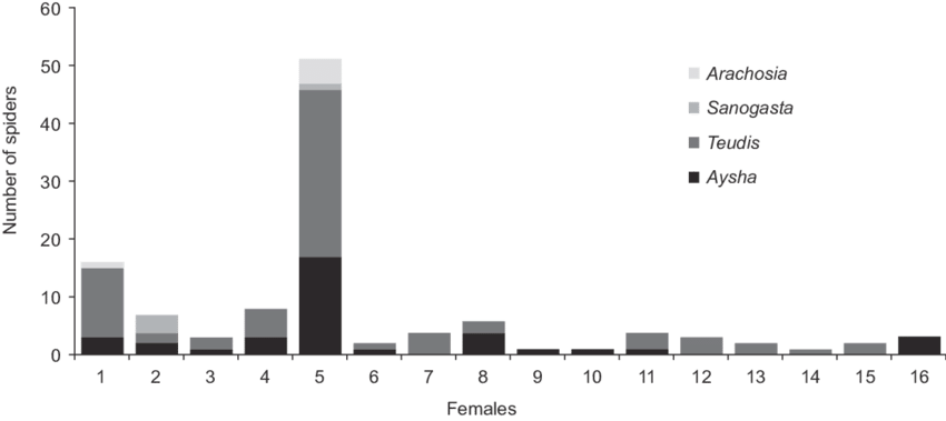 Composition Of Prey Items Of Females Of T - Diagram (850x379), Png Download