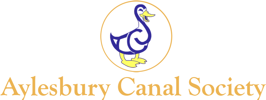 Acs Logo Png (900x346), Png Download