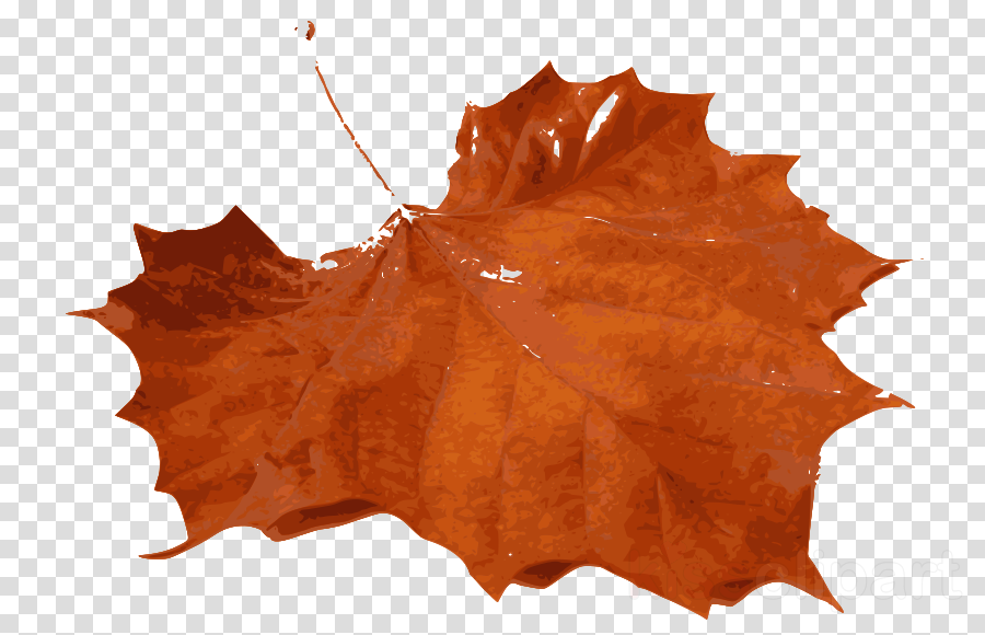 Leaf - Orange Leaves Real Png (900x580), Png Download