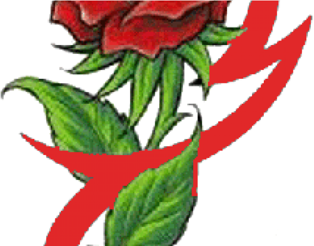 Flower Tattoo Png Transparent Images - Small Colour Rose Tattoo Design (640x480), Png Download