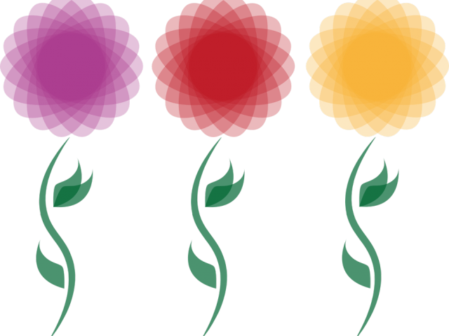 Chrysanthemum Clipart Flower Blossom - Flower (640x480), Png Download