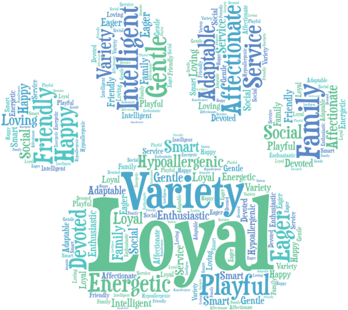 Aussiedoodle Word Art - Art (750x664), Png Download